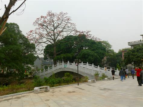 宗祠|宗祠(儒家文化傳統建築):行前必讀,景區動態,景區介紹,關鍵信息,詞。